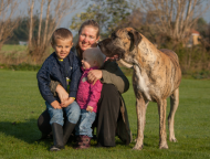 familehund, ikke traditionel hundetræner, øvelser i offentlig rum, nythundeliv, hund og børn, grand danois